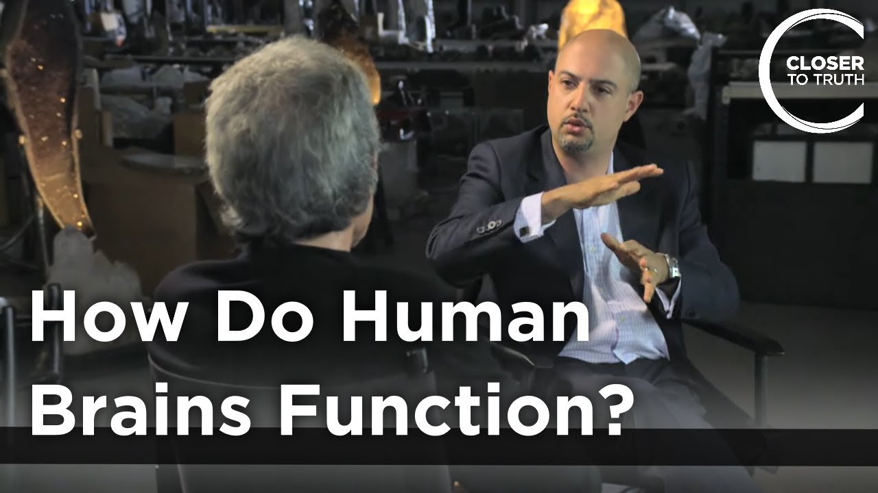 Sam Parnia - How Do Human Brains Function?