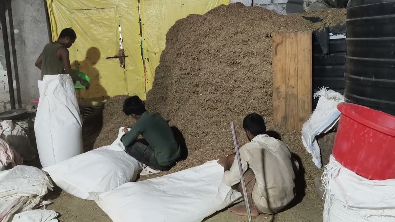 Tuwaar chilka momphali chilka chana chilka chunni bhusa chana chilka Dal makai powder #9700863205 