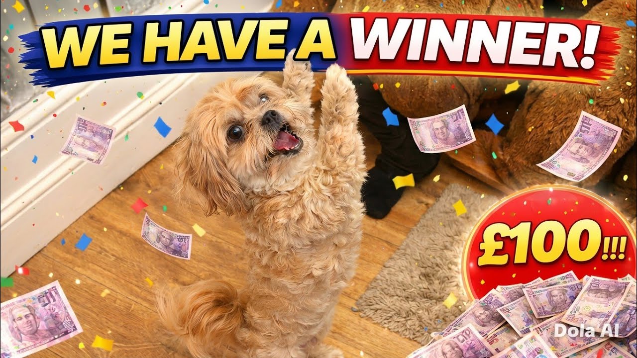 👉 10K SUBS WINNER ANNOUNCED! 🎉 Who Won £100?
