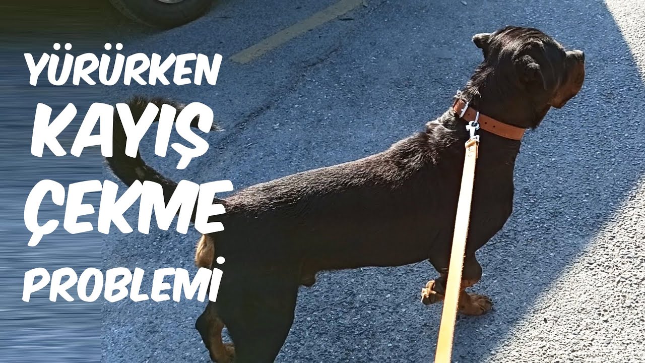 Yürürken Kayış Çekme Problemi