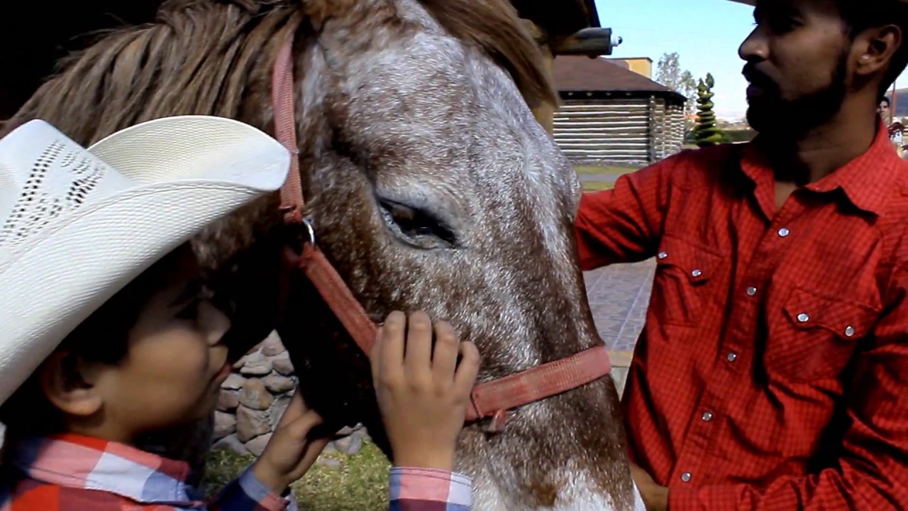 Mariachi en el Cielo- Mariachi Corazòn Alegre