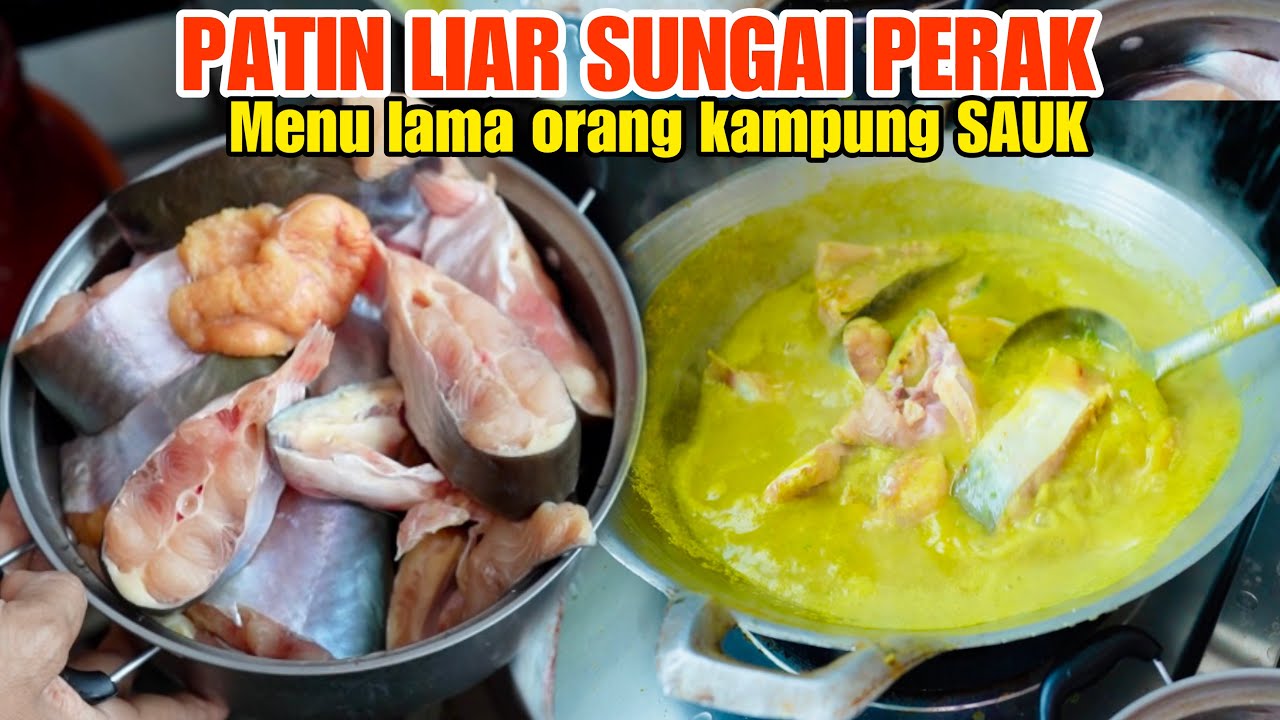Patin liar SUNGAI PERAK port VVIP terkenal yang belum pernah lagi di VIRAL kan !!