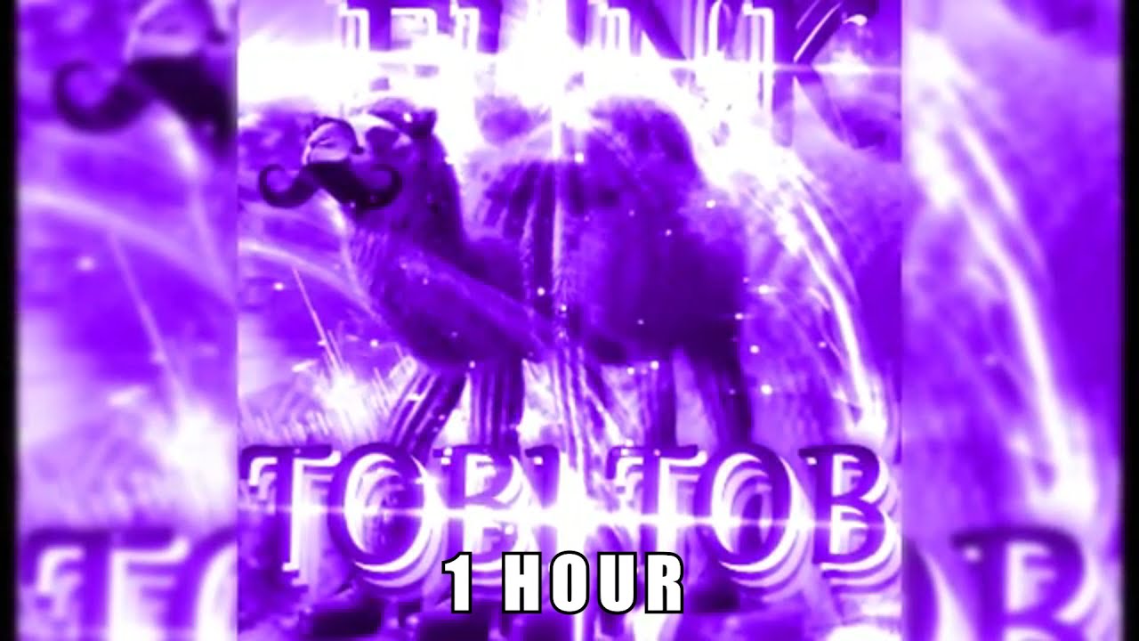 Anomali tobi tobi tob tob FUNK [1 HOUR]