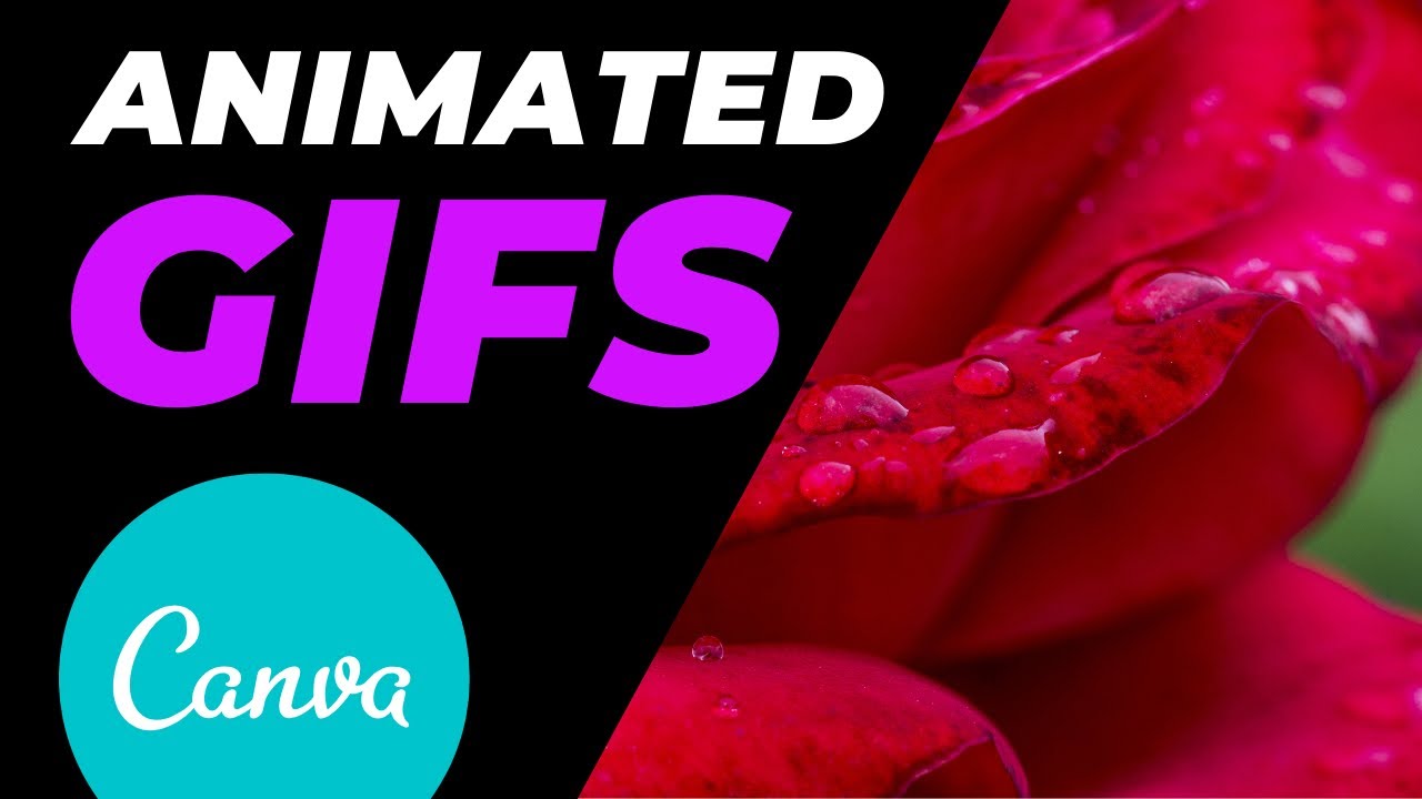 HOW TO MAKE GIFs with CANVA  For FREE (Quick & Easy Method)