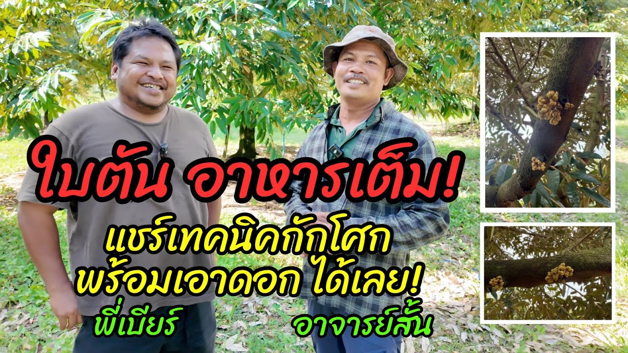 สะสมอาหารเต็มเปี่ยมแล้ว เตรียมกักโศกเอาดอกอย่างไรดี แชร์เทคนิค พี่เบียร์ อาจารย์สั้น