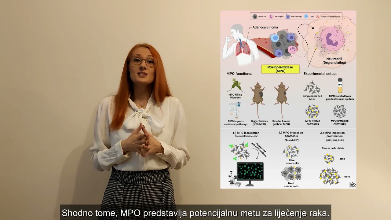 Nejra Cosic 3MT Presentation: The impact of myeloperoxidase (MPO) on lung adenocarcinoma cells