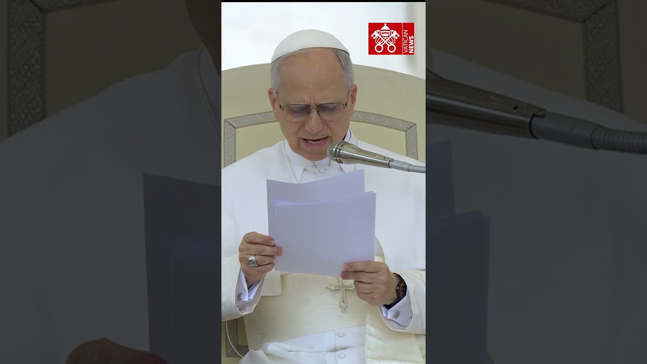 Leon XIV: przypowieść o siewcy pokazuje, że B&oacute;g jest rozrzutny w miłości, On nam ufa