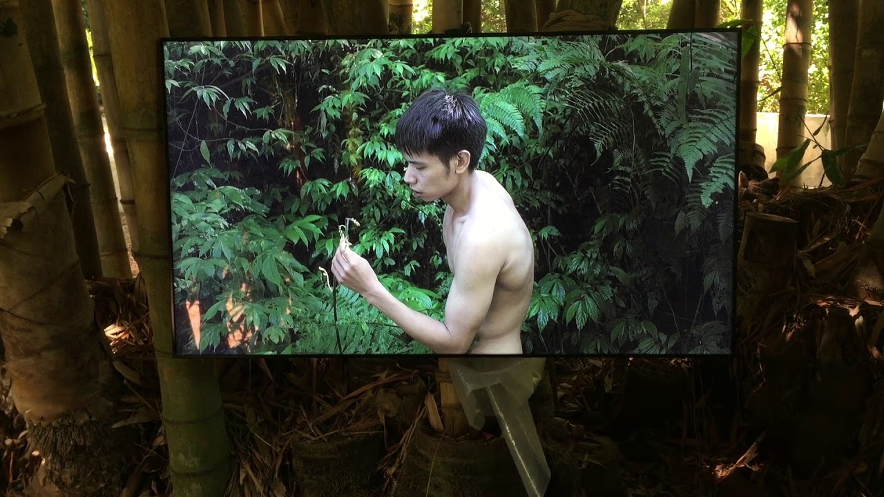 Pteridophilia, 2016 (excerpt 1) - Zheng Bo