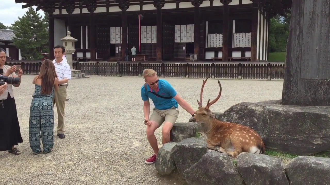 A Day in Nara(奈良市), Japan (with rain)