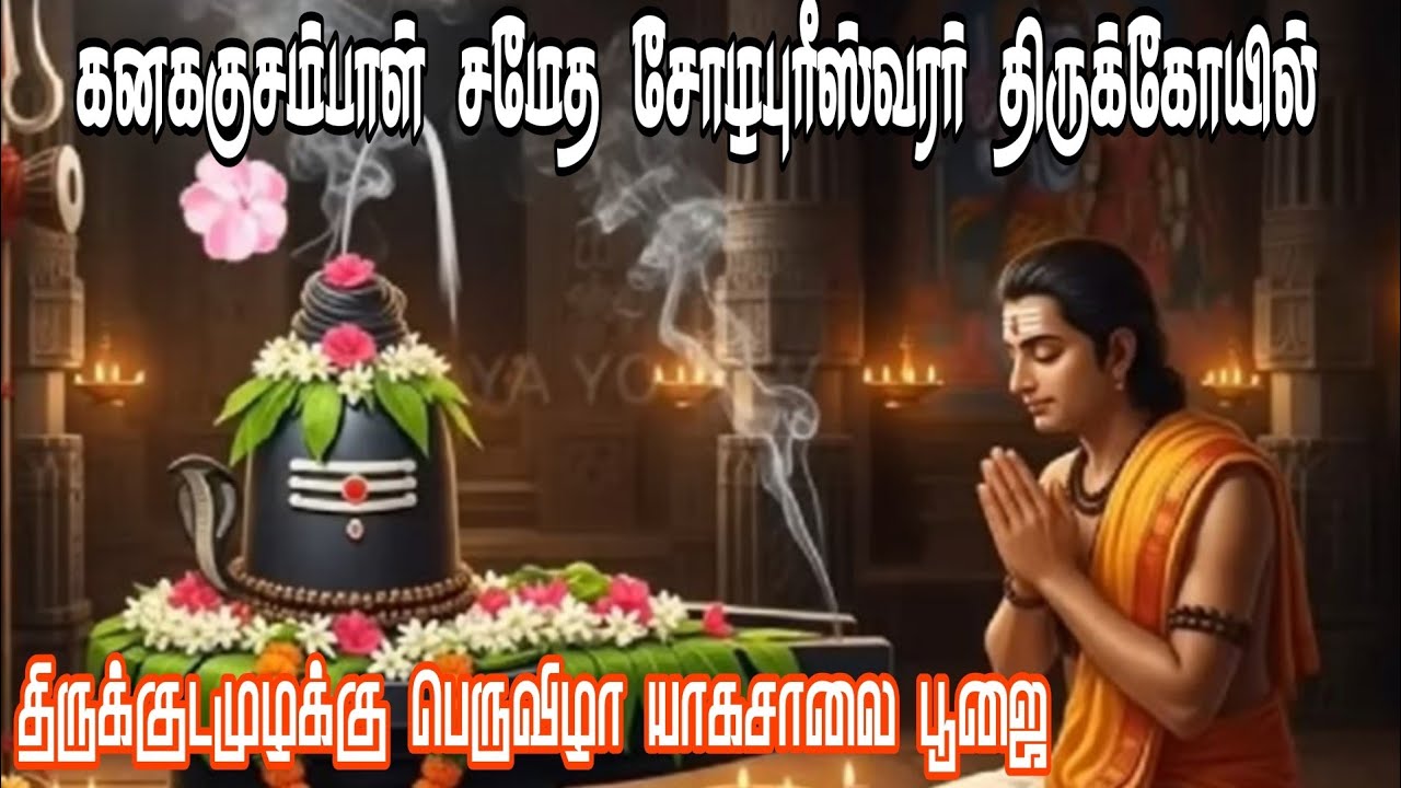 #சிவவாத்தியம் சோளிங்கரில் நடைபெற்ற பிரமாண்டமான மஹா கும்பாபிஷேகம்#