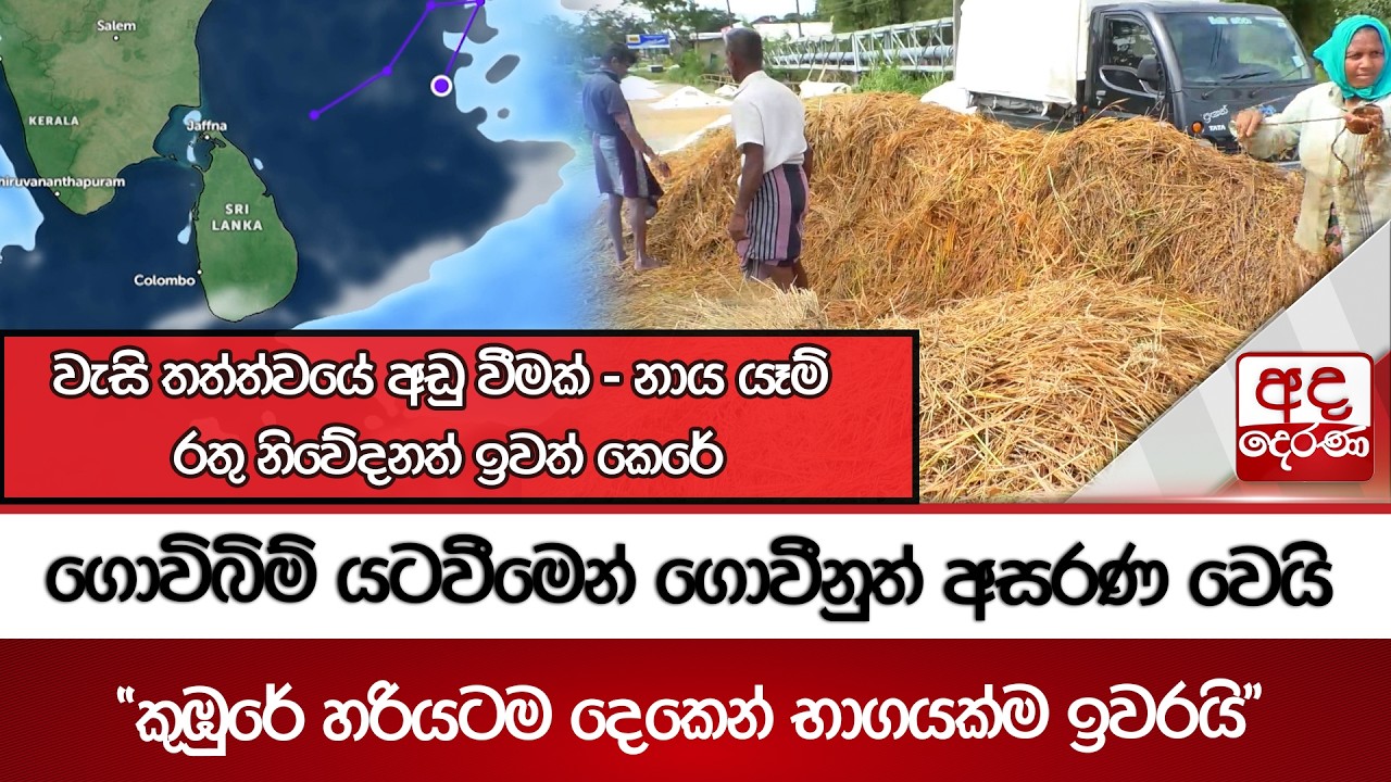 වැසි තත්ත්වයේ අඩු වීමක් | ගොවිබිම් යටවීමෙන් ගොවීනුත් අසරණ වෙයි | Ada Derana
