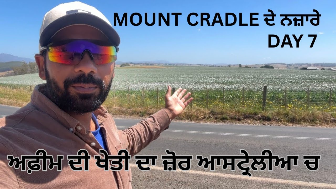 MOUNT CRADLE ਦੀਆਂ ਸੈਰਾਂ । ਟਰੈਕਿੰਗ ਤੇ ਹੋਰ ਰੰਗ ਤਸਮਾਨੀਆ ਦੇ । DAY 7 @Punjabi_passenger 
