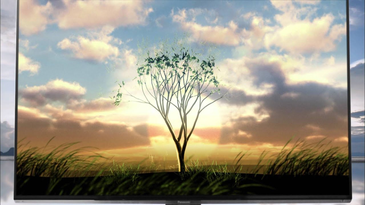 Panasonic iDTV