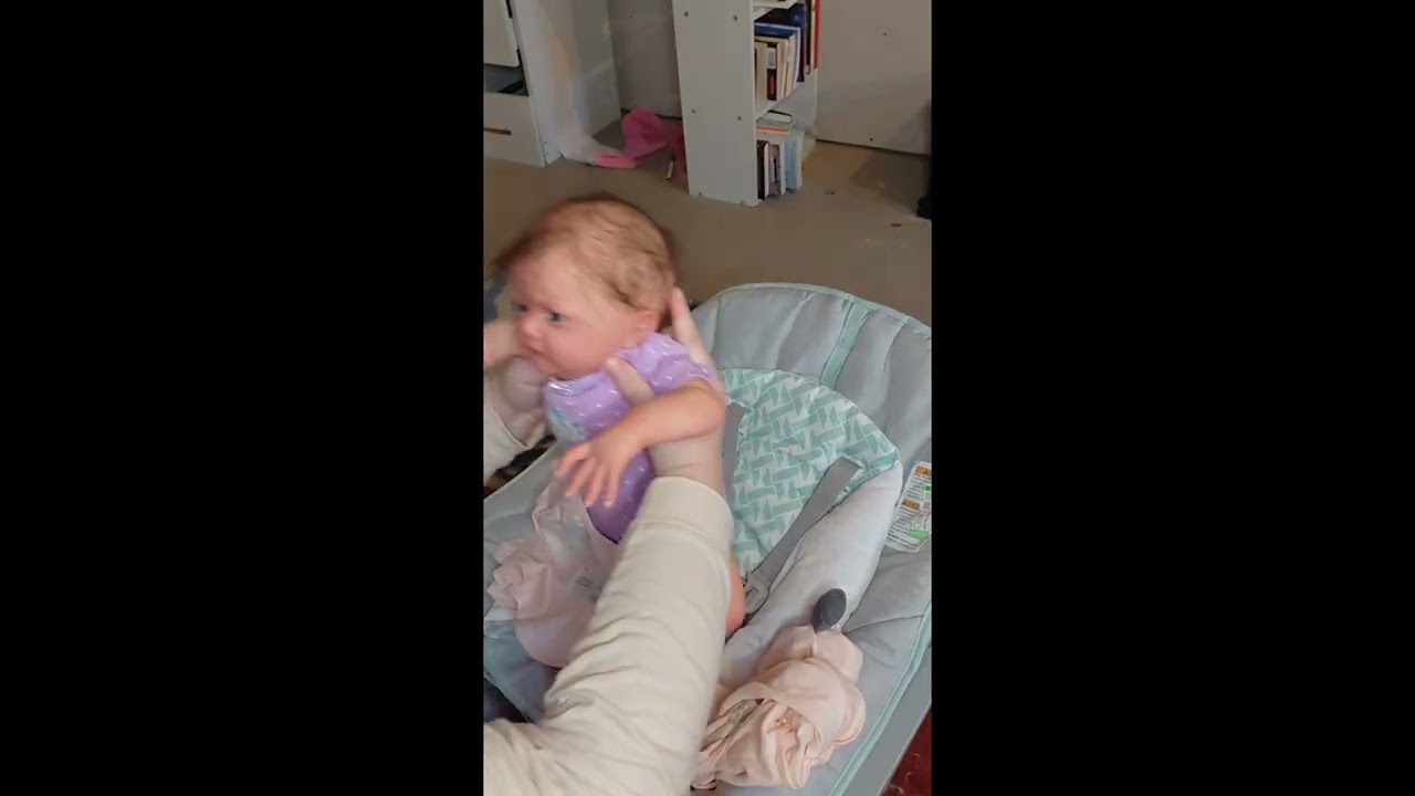 Reborn Afternoon routine with Berkeley and miles!