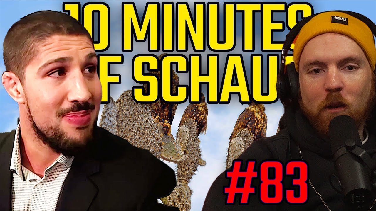 Джордж, ВОЗМОЖНО, БЫЛ ОГНЕН! | 10 Minutes of Schaub #83
