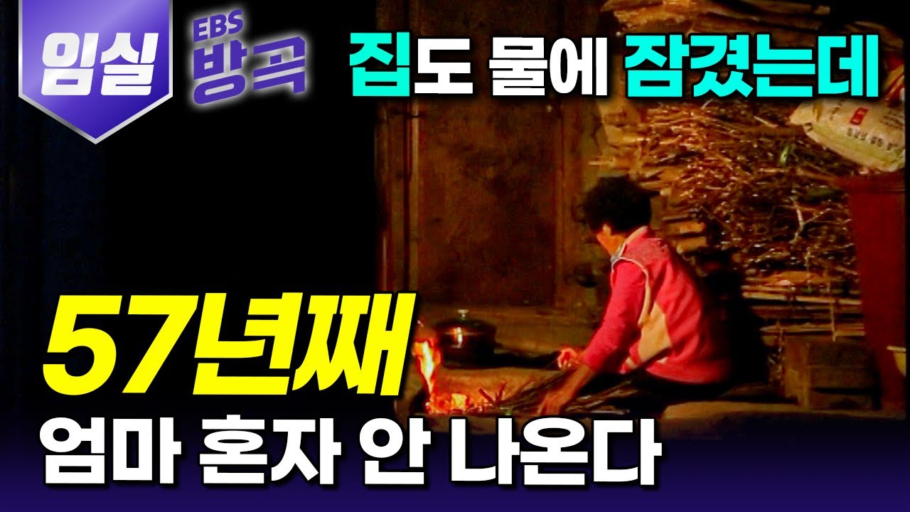 [전북 임실] 