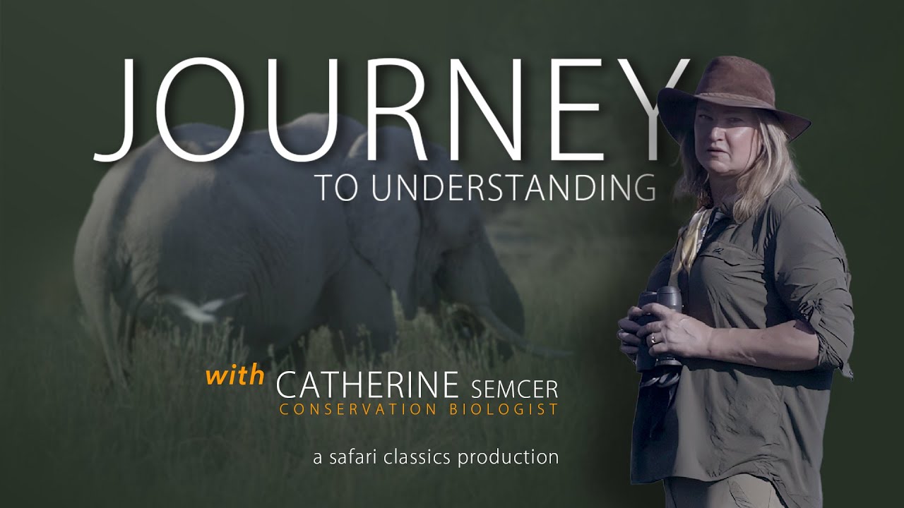 Journey to Understanding
