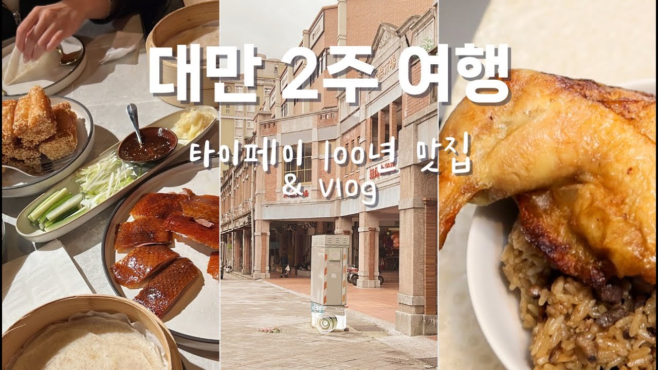 [대만 브이로그] 타이페이 맛집 | 줄서서 먹는 디화제 100년 맛집, 베이징덕 맛집, 특별출연 ShiShi✨ | 폽지 POVG