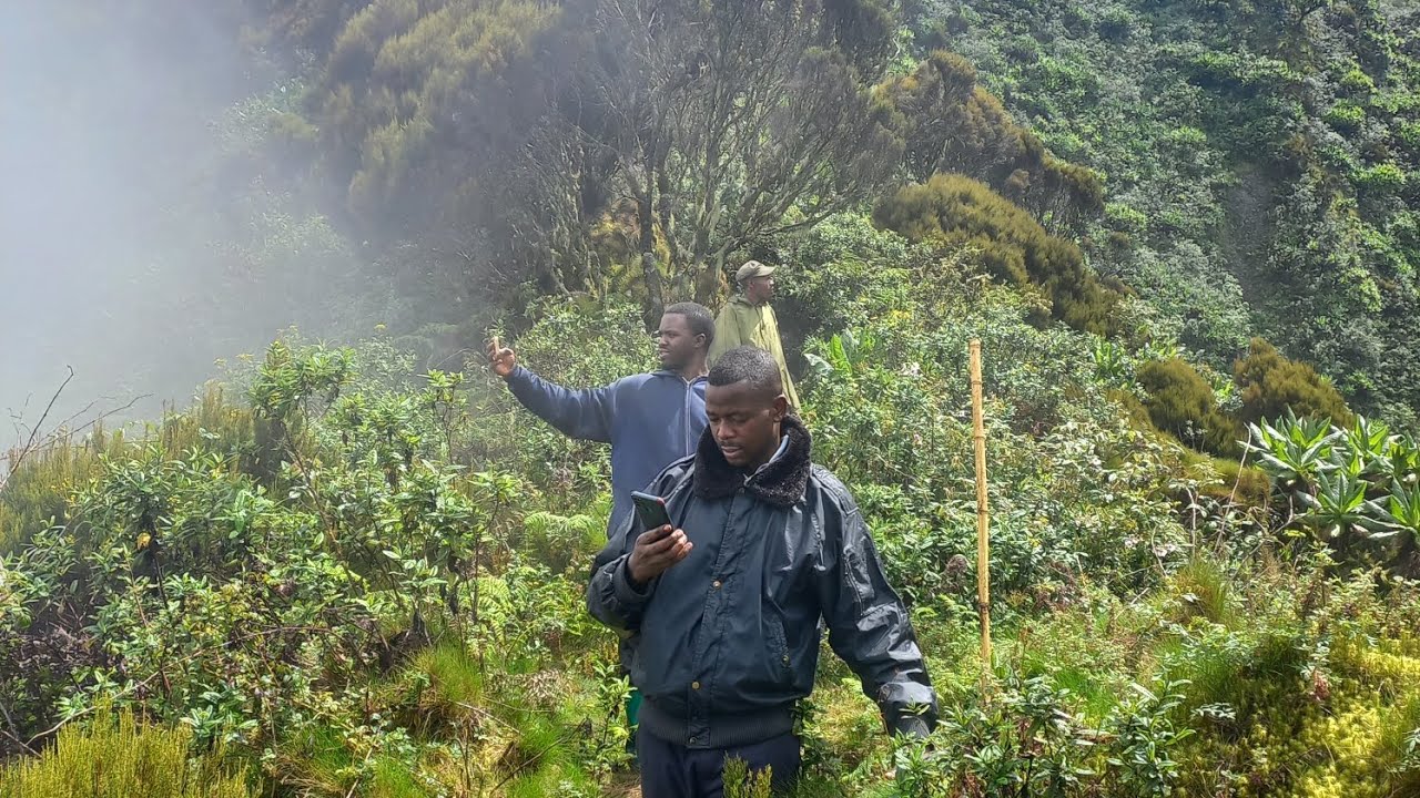 Hiking Sabyinyo in Rwanda with 