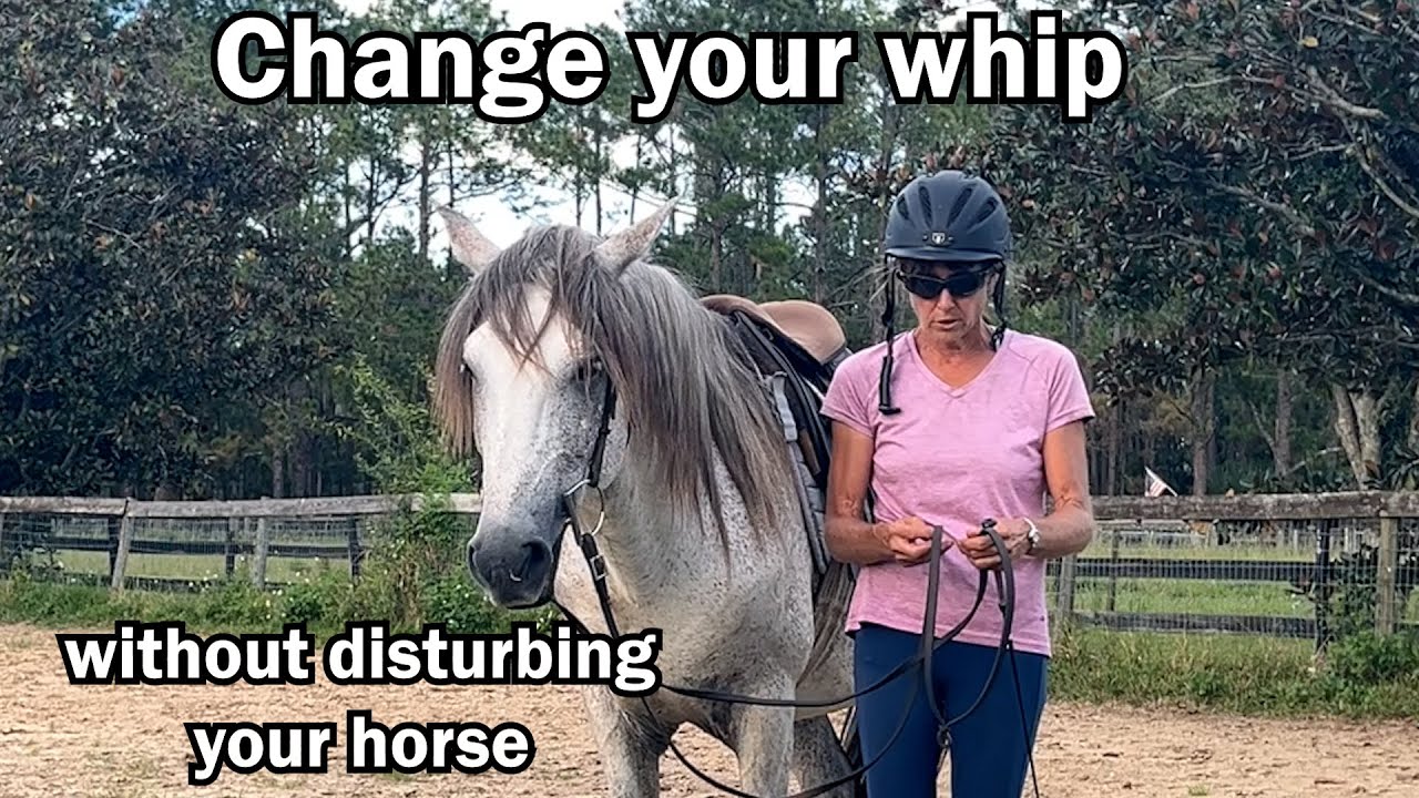 Change your whip WITHOUT disturbing your horse