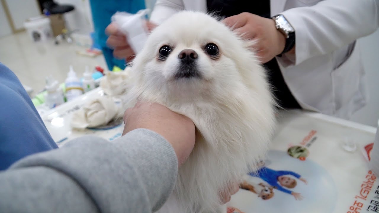 Hangseong had Hernia Operation ToT