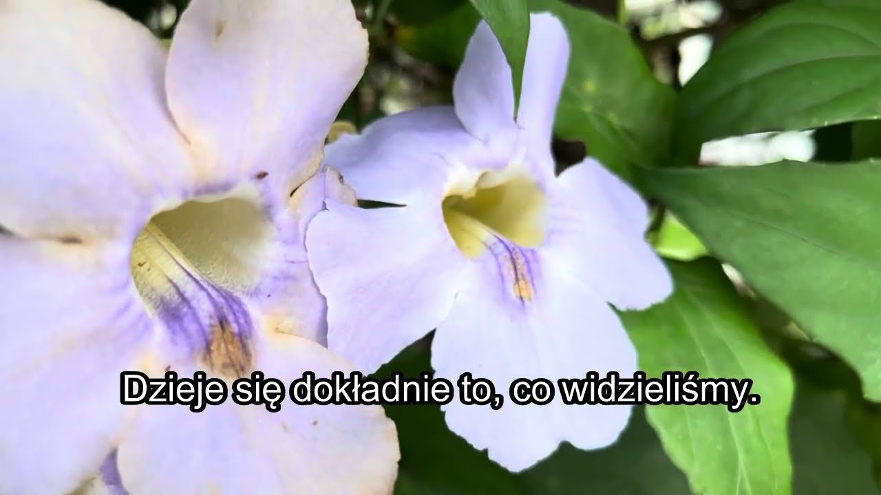 Kościół będzie KARAŁ GRZYWNAMI Księży, którzy zrobią TO w Polsce