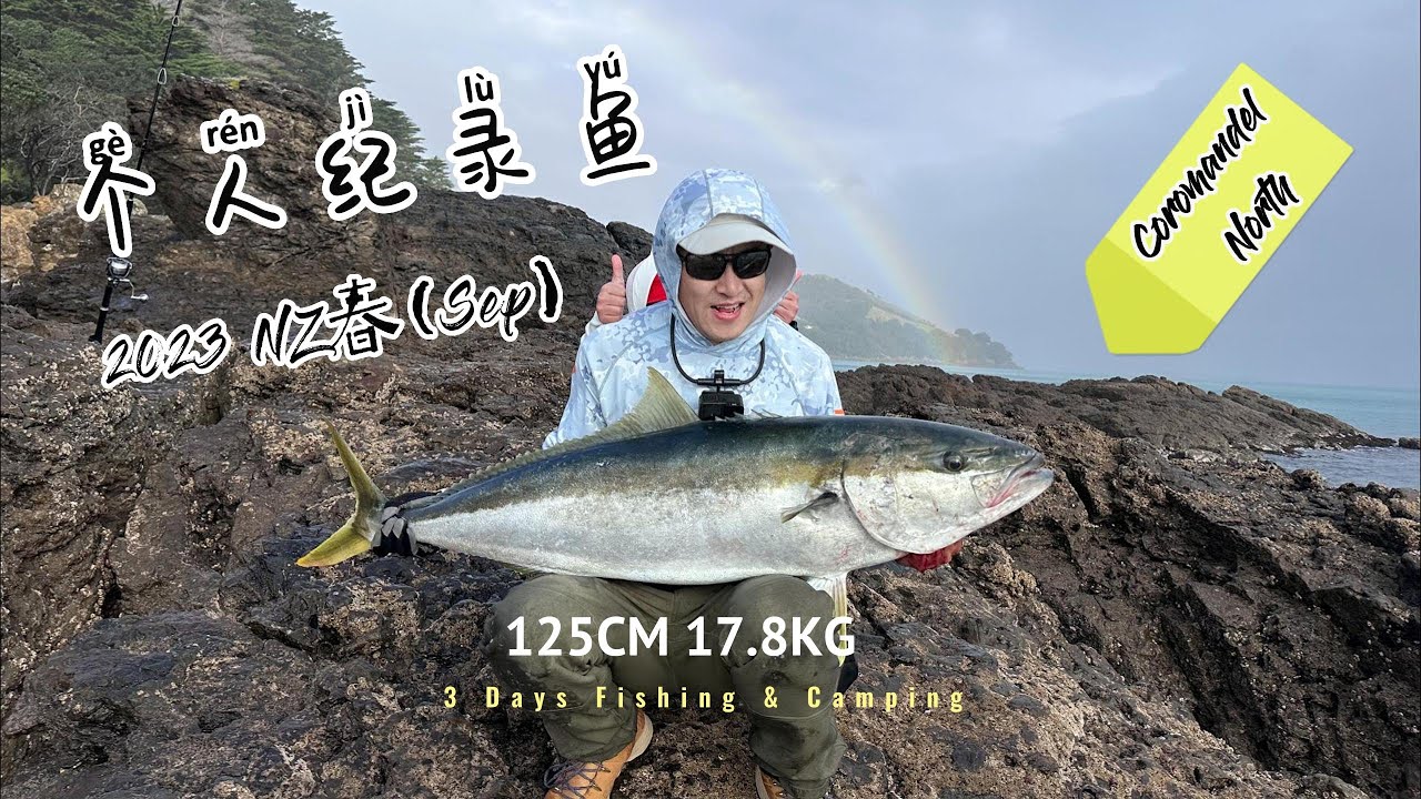 Land Based 17.8 KG King Fish黄尾𫚕鱼(Hiramasaヒラマサ)