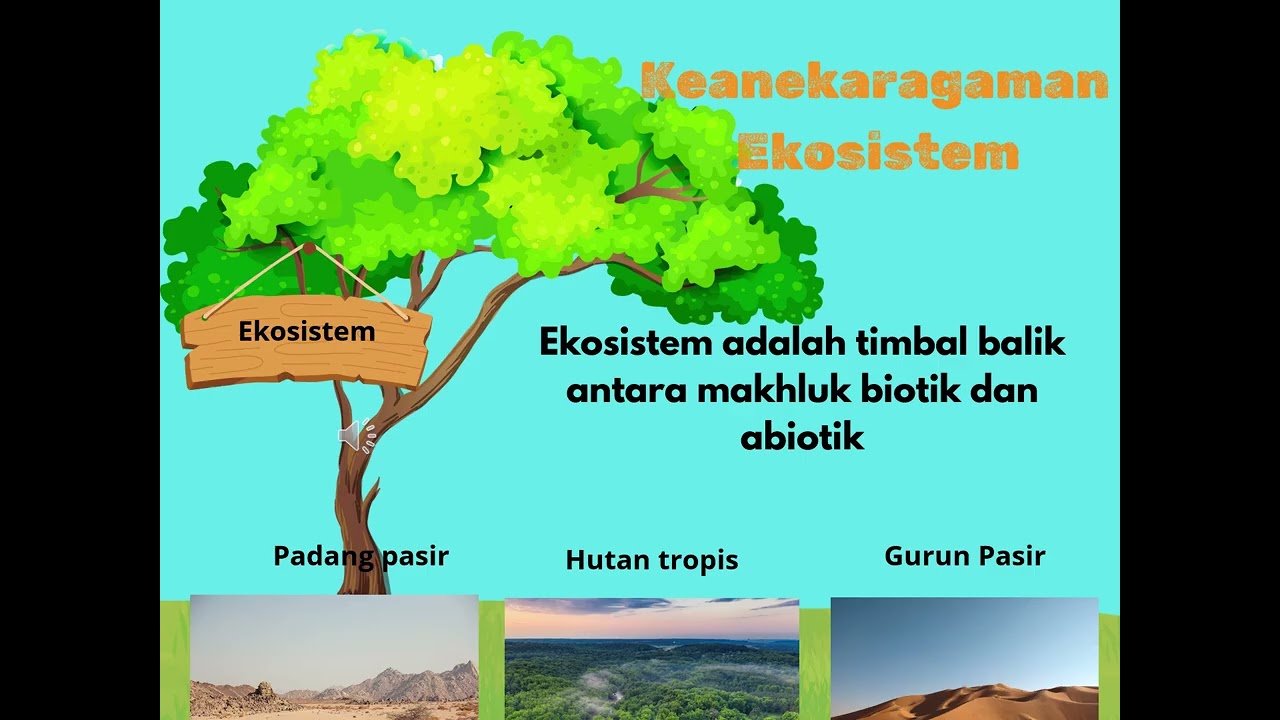 Vidio PPT UKIN KELAS 4 IPAS BAB 5 INI KHAS DAERAHKU TOPIK KEANEKARAGAMAN HAYATI