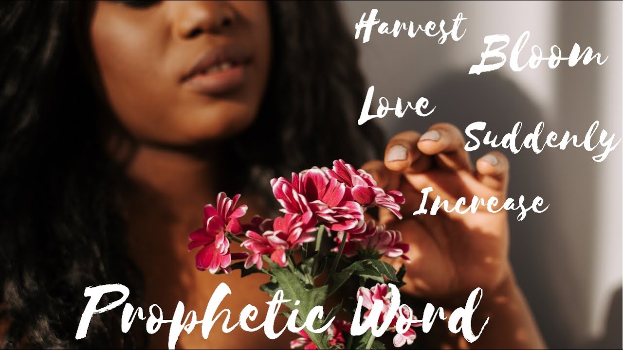 Prophetic Word: It’s Show time🎉🎉🎊🎊 God will 🗣perform HIS WORD
