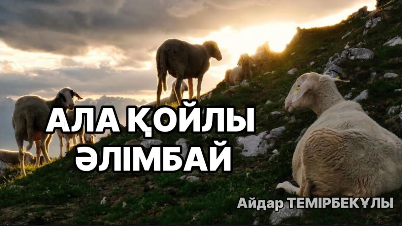 АЛА ҚОЙЛЫ ӘЛІМБАЙ