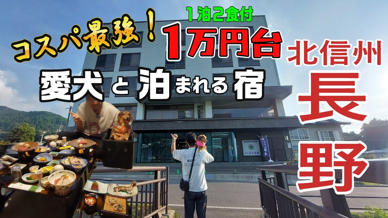 【犬と泊まれる宿 長野】１万円台で源泉かけ流し温泉の癒しの宿/北信州を望む露天風呂/わんこと一緒に夕食御膳が楽しめる #ホテルおもだか