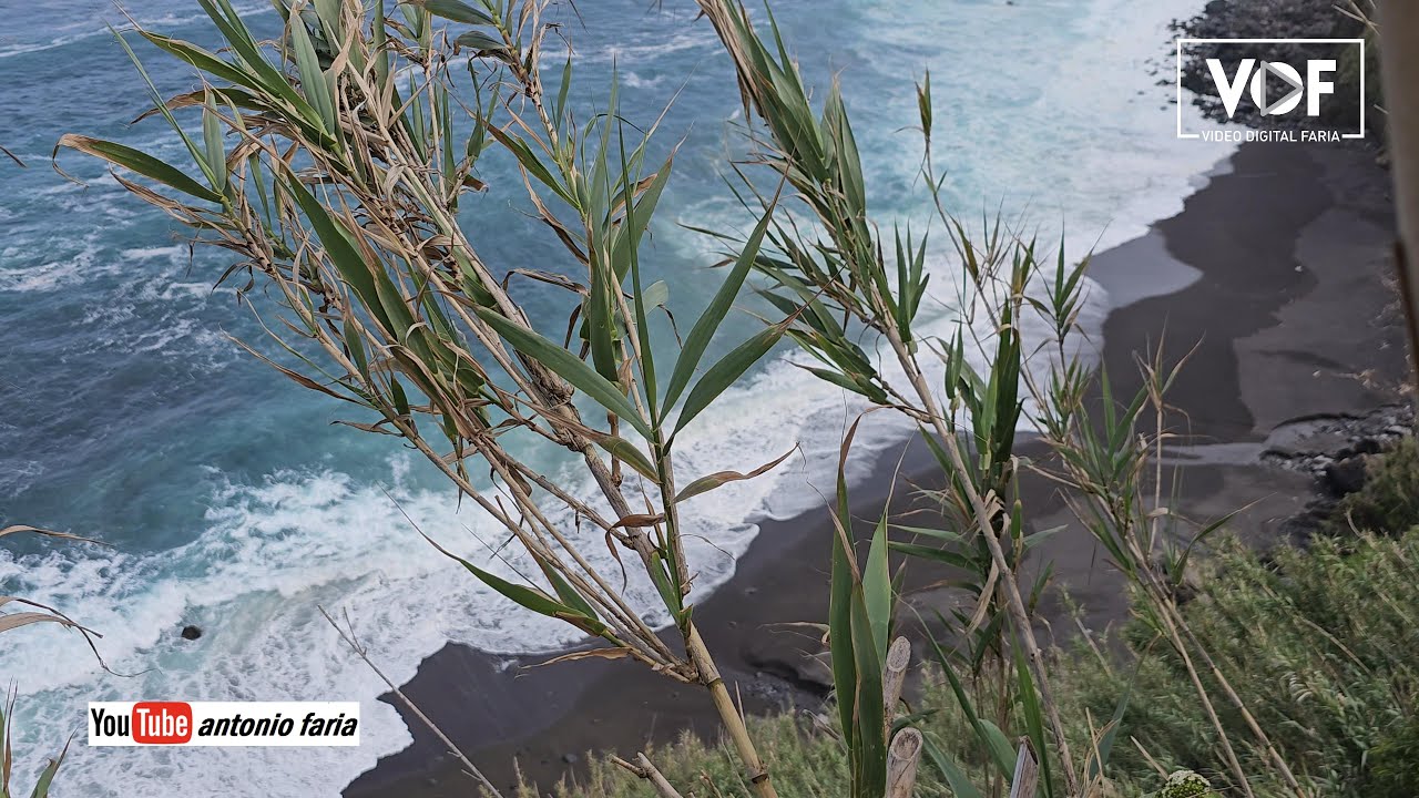 Vamos à Praia da Viola na Lomba da Maia 2023 Ilha São Miguel