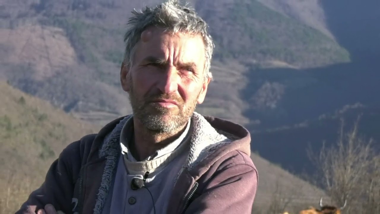 - VUK, ŠAKAL I MEDVJED SU PRIJETNJA, ALI DRAGAN I MIKI ČUVAJU SVOJE STADO