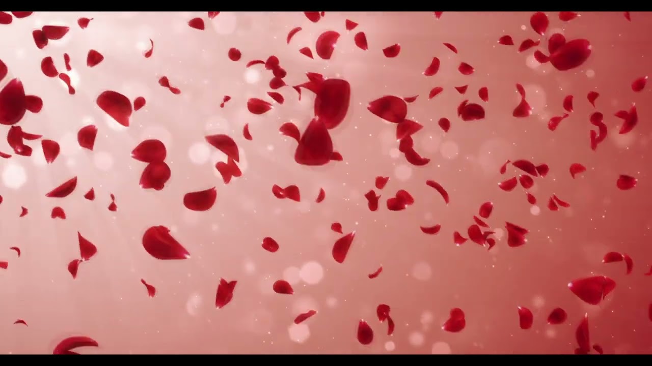 Romantic Screensaver - An enchanting screensaver brimming with love.