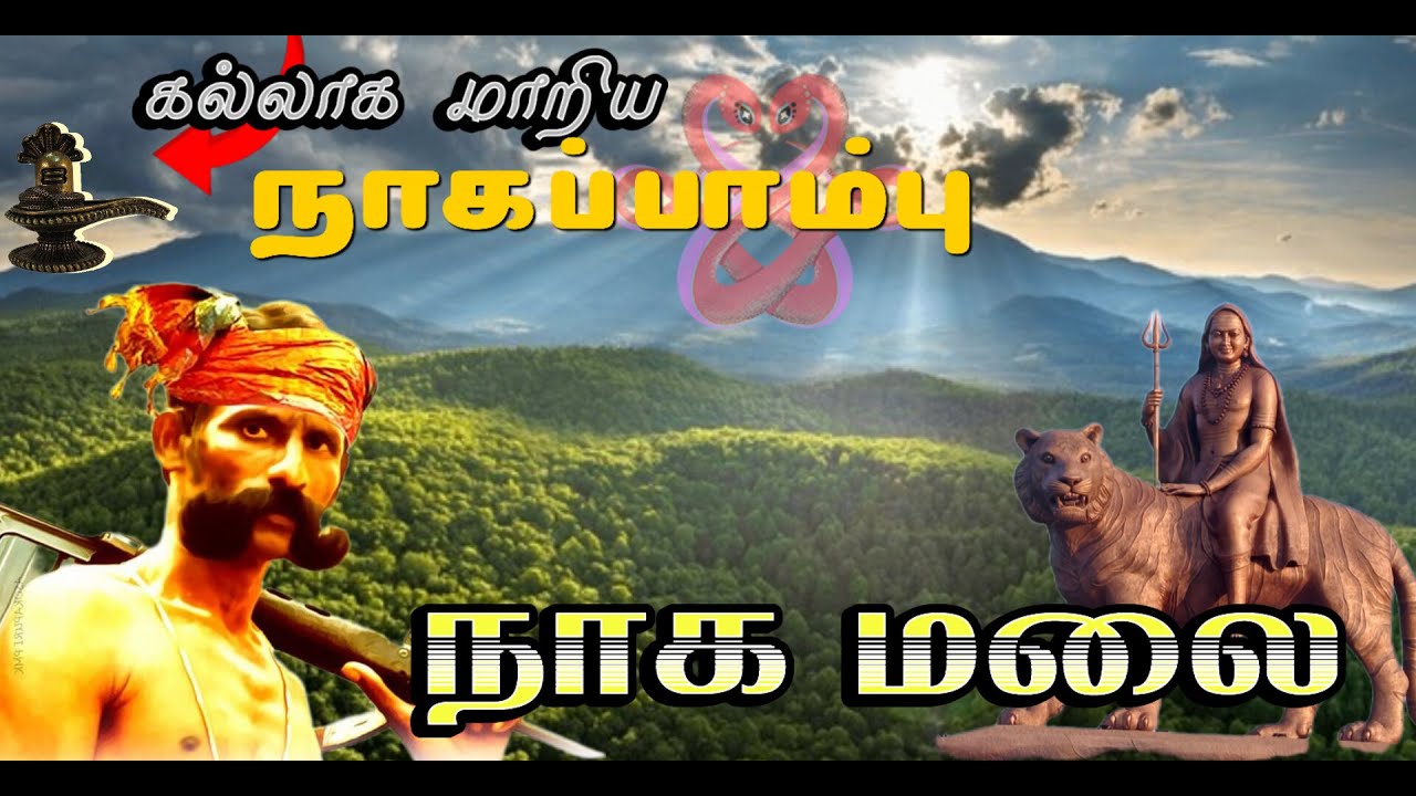 🔱ஐந்துதலை நாகமாக மாறிய சிவன்🙏 - நாகமலை மாதேஸ்வரன் | Male Madheshwara Hills | Karnataka trekking
