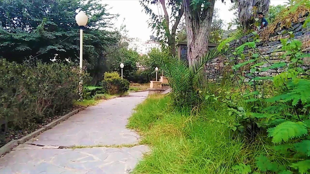 🌲🌴🌿تعرفو على حديقة تيفاريتي المخبئة وسط مدينة الجزائر🌵🌾🌳🌴🌲TIFARITI PARK🌲🌴🌲🌳🌾🌵🌿🍃🌱