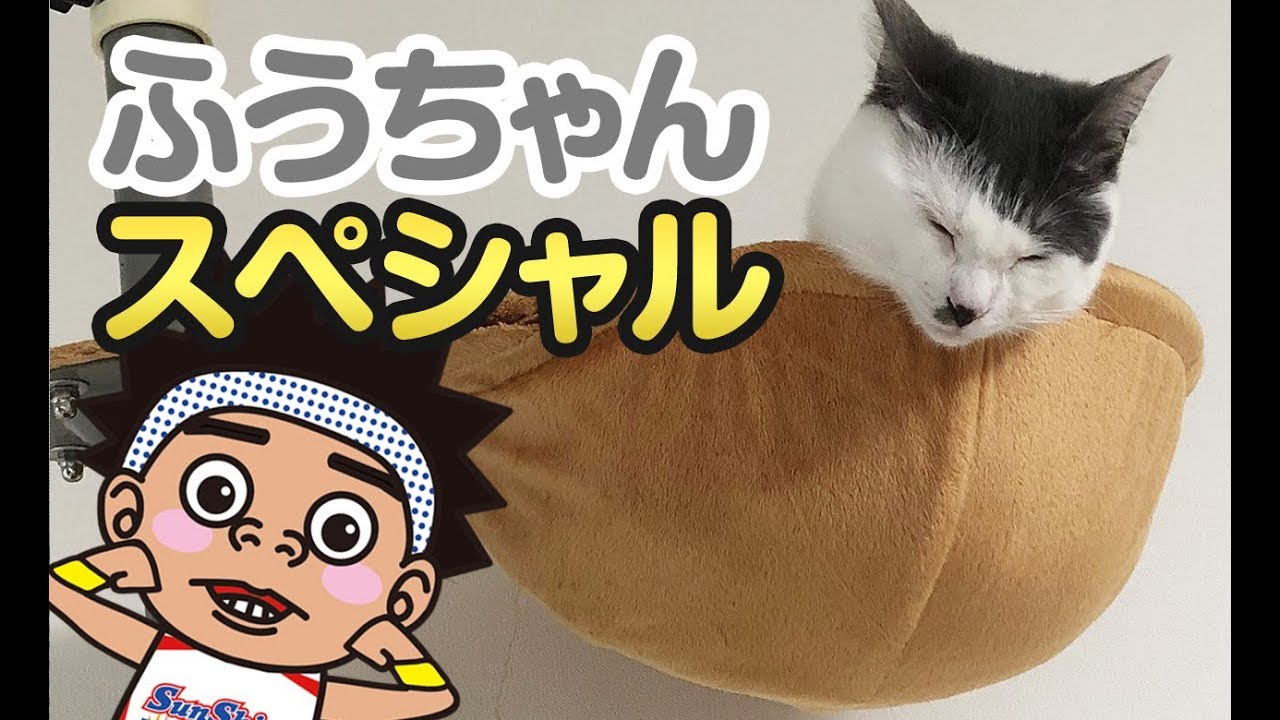 【サンシャイン池崎猫】ふうちゃんＳＰ！ふうらい絵巻~其の七~