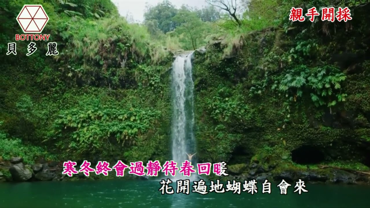 親手開採   小琪   貝多麗唱片 HD MV字幕