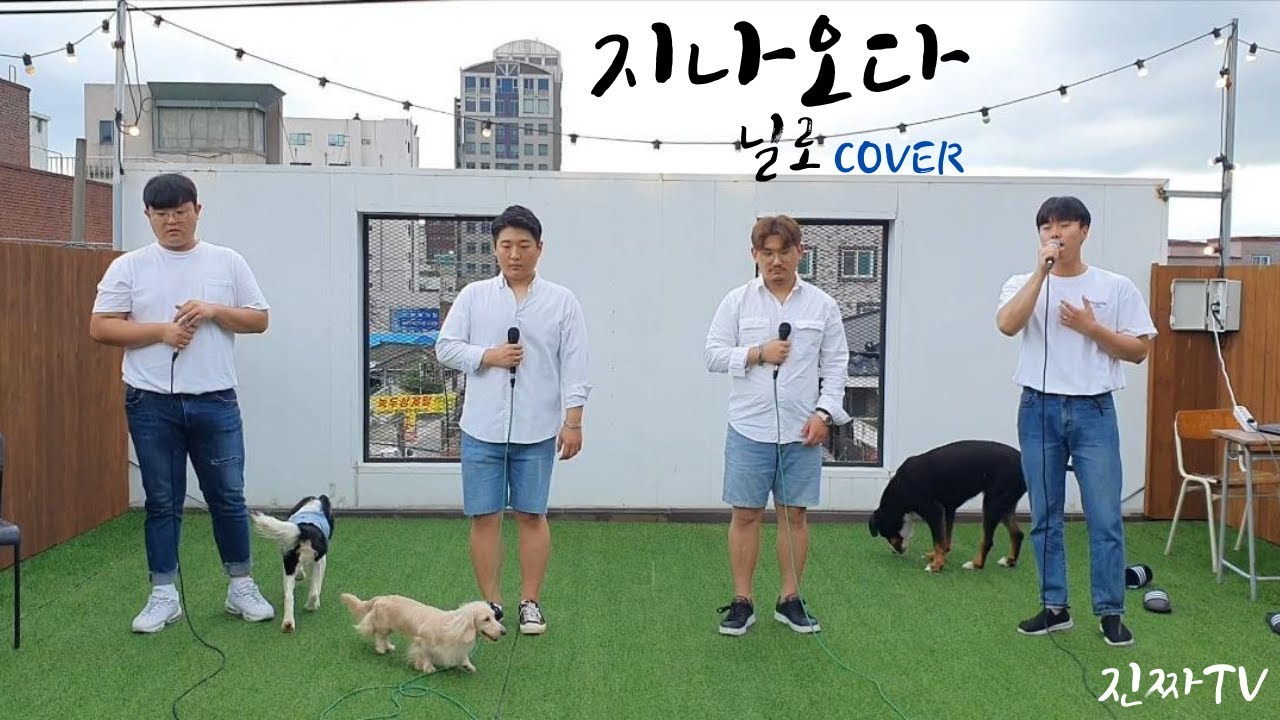 [진짜TV] 드디어 들려드립니다!! 비 내리는 와중에 애견카페 루프탑에서 불러봤습니다!! 닐로 - 지나오다 COVER /  Nilo - Pass by _ REAL TV