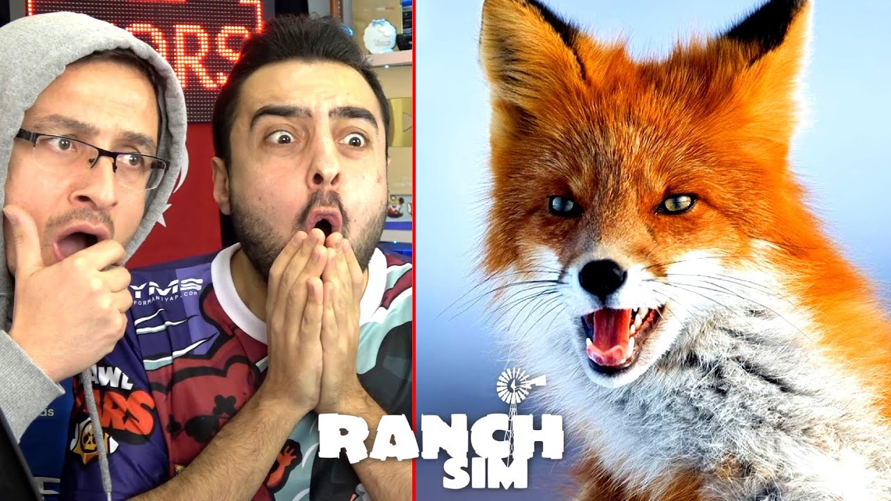 İLK DEFA TİLKİ BULDUK ! DAYI YI KOVALADILAR 😱 RANCH SİMULATOR !