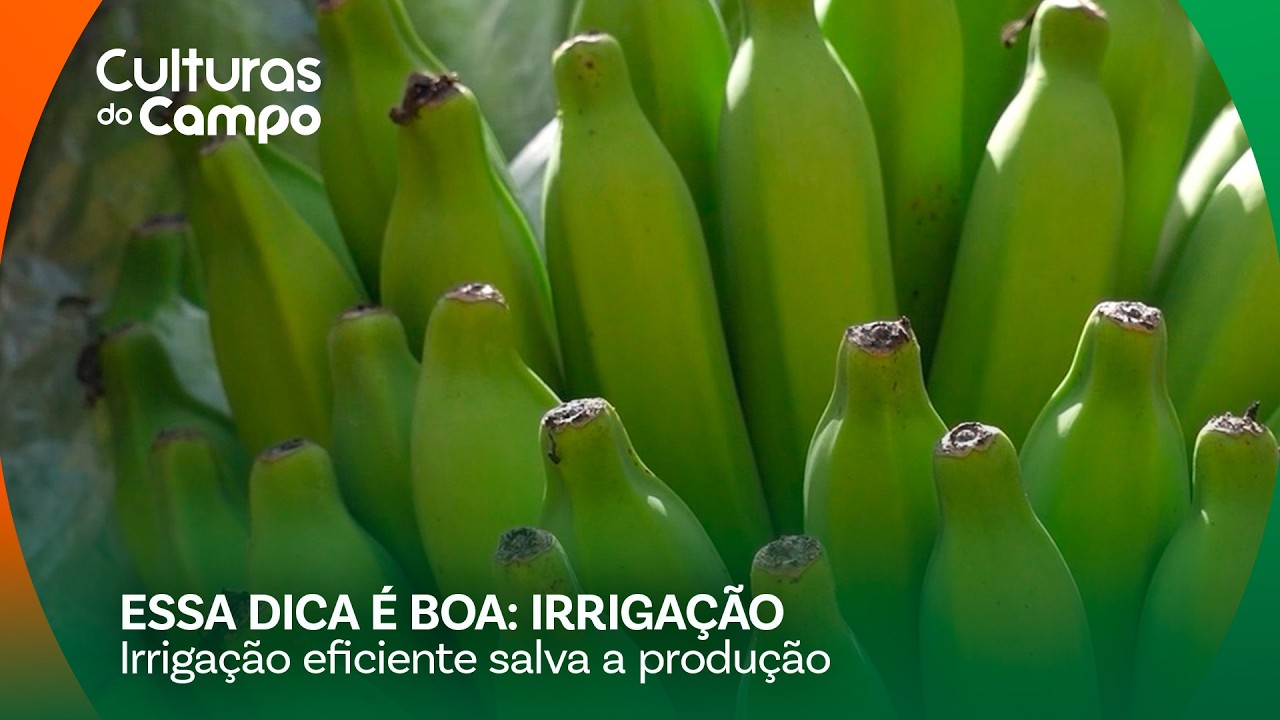 Mudanças climáticas: como economizar água na irrigação?