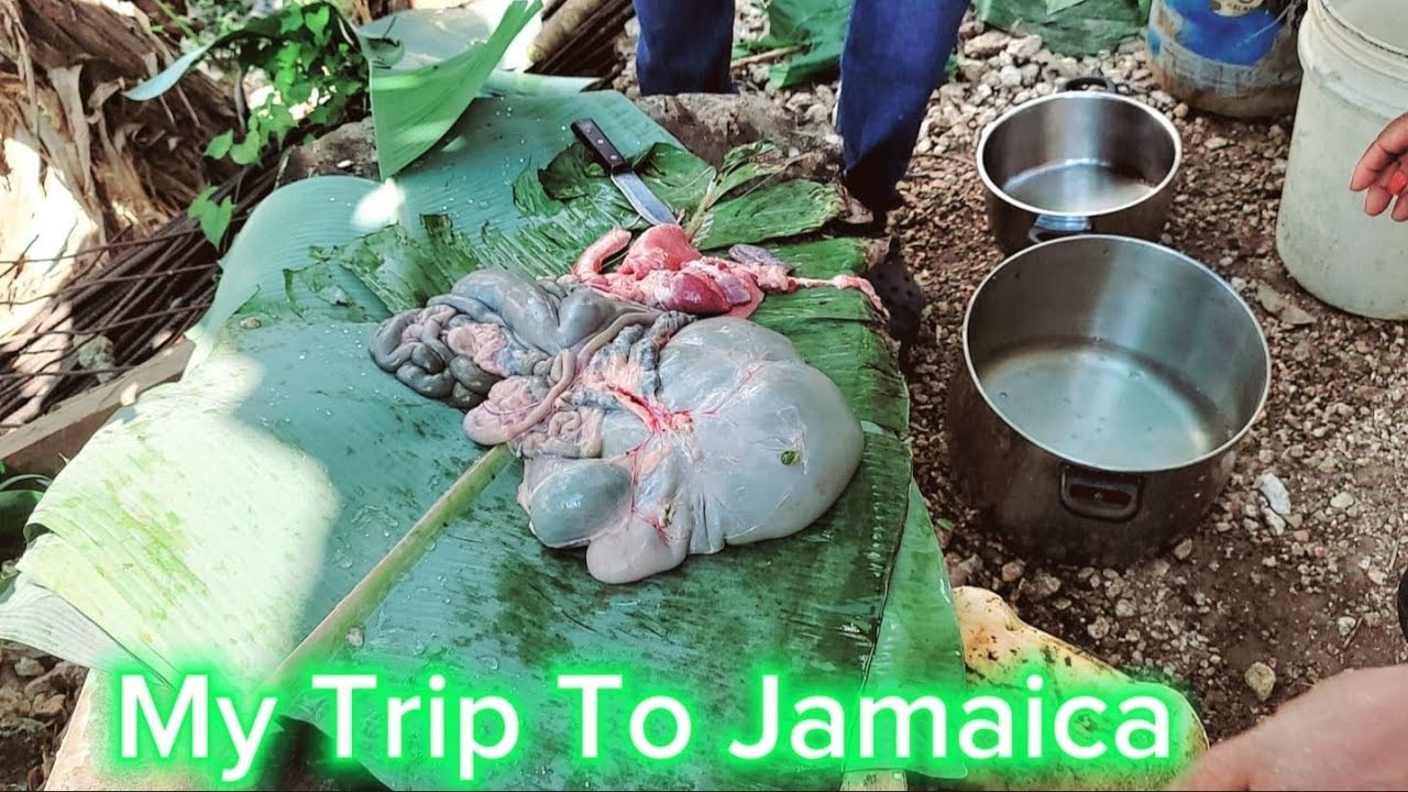 How to clean goat intestines easy at home
