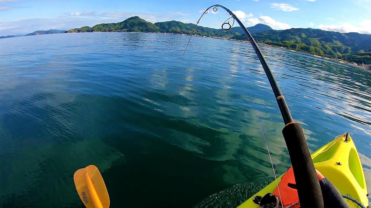 ルアーを落とすと巨大魚が一瞬で飛びついてくる日 ①