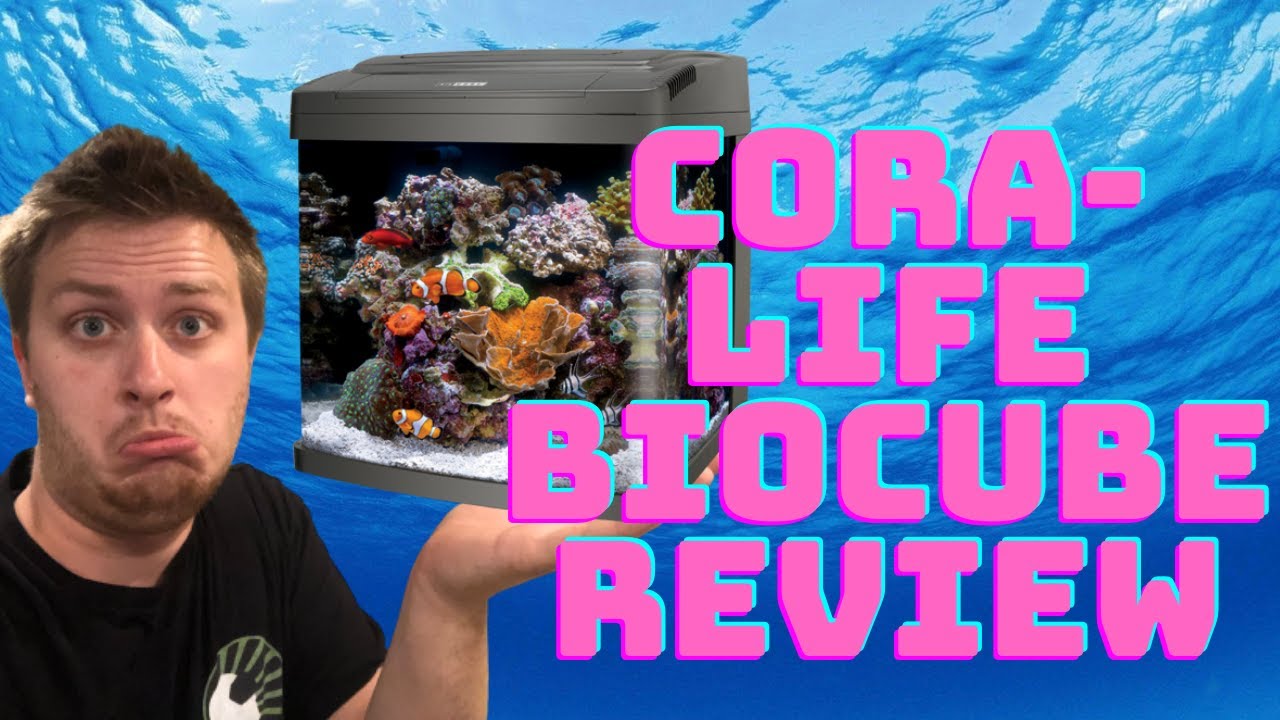 Cora-life BioCube Review (16 Gallon) - Best Tank for Newbies & Experts?!?
