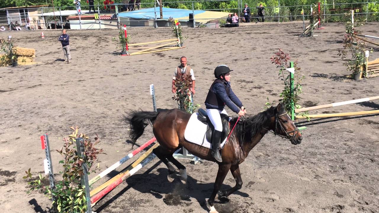 concorso C60 salto ostacoli