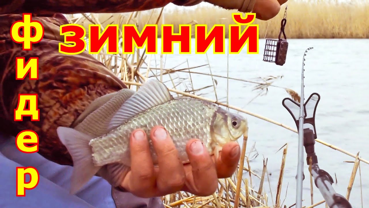 Капризный КАРАСЬ на фидер зимой. Ловля карася на фидер в декабре. Зимняя рыбалка с фидером на карася