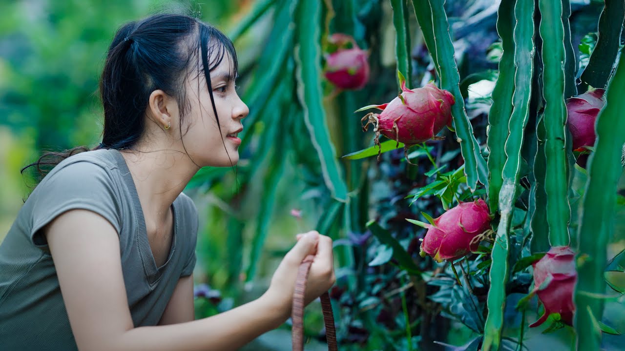 Sun-dried Persimmons, Pitaya Wine, Moon cakes... - Mid-Autumn Festival Reunion With Family