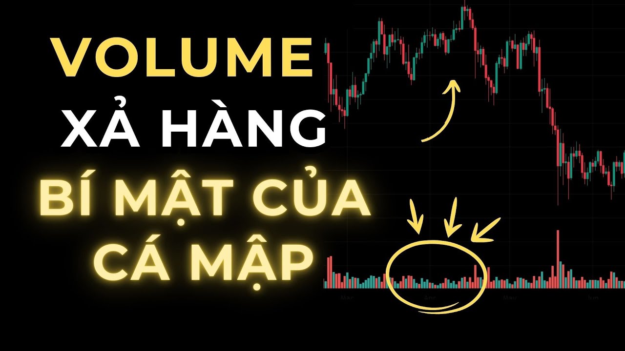 Hãy Để Ý Volume Xả Hàng Này - Giai Đoạn Cá Mập Âm Thầm Rút Hết Vốn Từ Trader