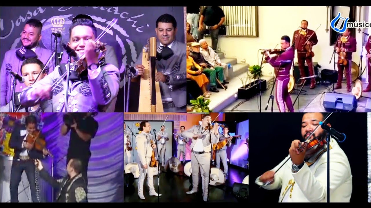Los mejores solos del gustito (Recopilación) 🎻🎶🔥