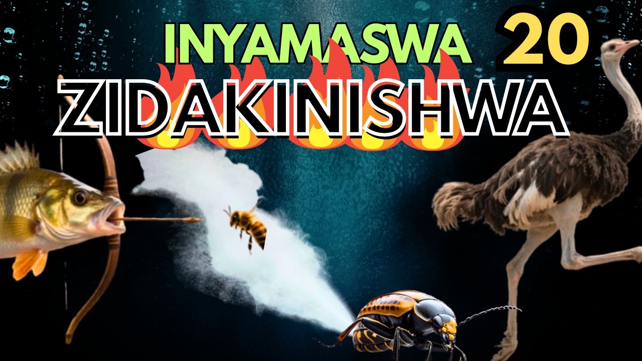 INGAMBA Z'UBWIRINZI bw' inyamaswa 20 za mbere zikaze kurusha izindi ku isi
